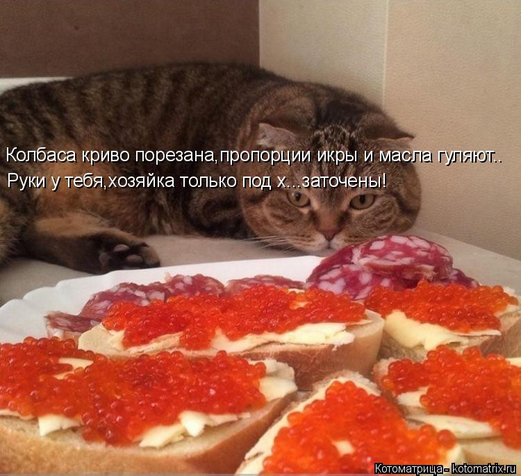 Котоматрица: Колбаса криво порезана,пропорции икры и масла гуляют.. Руки у тебя,хозяйка только под х...заточены!