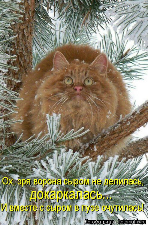 Ох, зря ворона сыром не делилась, И вместе с сыром в пузе очутилась! докаркалась...... Котоматрица: Ох, зря ворона сыром не делилась, И вместе с сыром в пузе очутилась! докаркалась...