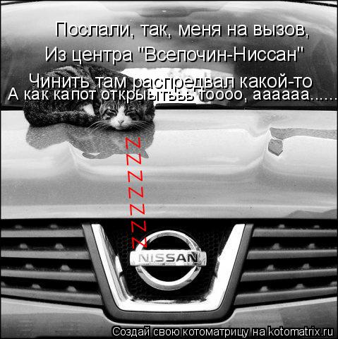 Котоматрица: Послали, так, меня на вызов, Из центра "Всепочин-Ниссан" Чинить там распредвал какой-то А как капот открыытььь тоооо, аааааа....... Z Z Z Z Z Z Z