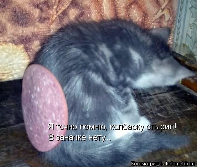 Котоматрица: Я точно помню, колбаску стырил! В заначке нету...