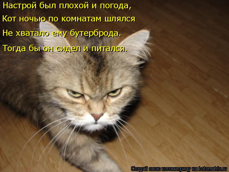 Котоматрица: Настрой был плохой и погода, Кот ночью по комнатам шлялся Не хватало ему бутерброда. Тогда бы он сидел и питался.