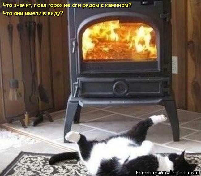 Котоматрица: Что значит, поел горох не спи рядом с камином? Что они имели в виду?