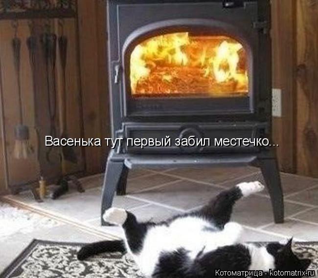 Котоматрица: Васенька тут первый забил местечко...