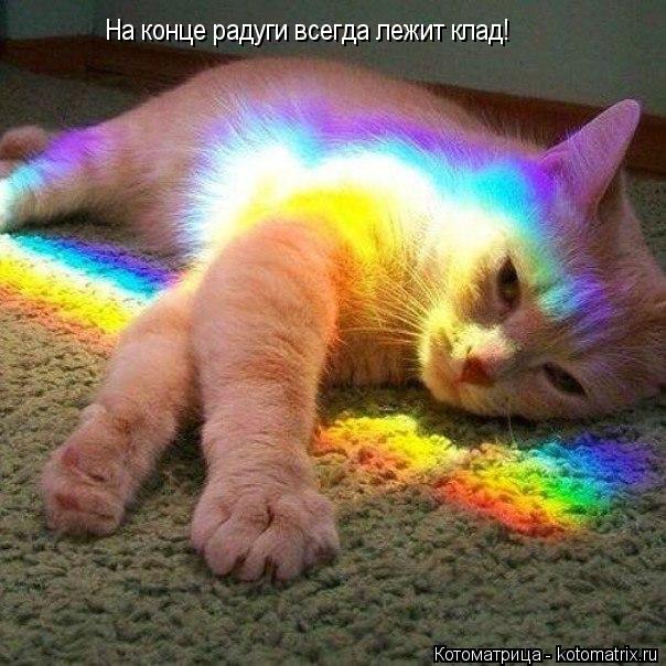 Котоматрица: На конце радуги всегда лежит клад!