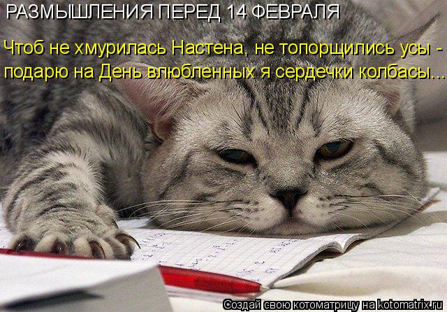 Котоматрица: РАЗМЫШЛЕНИЯ ПЕРЕД 14 ФЕВРАЛЯ Чтоб не хмурилась Настена, не топорщились усы -  подарю на День влюбленных я сердечки колбасы...