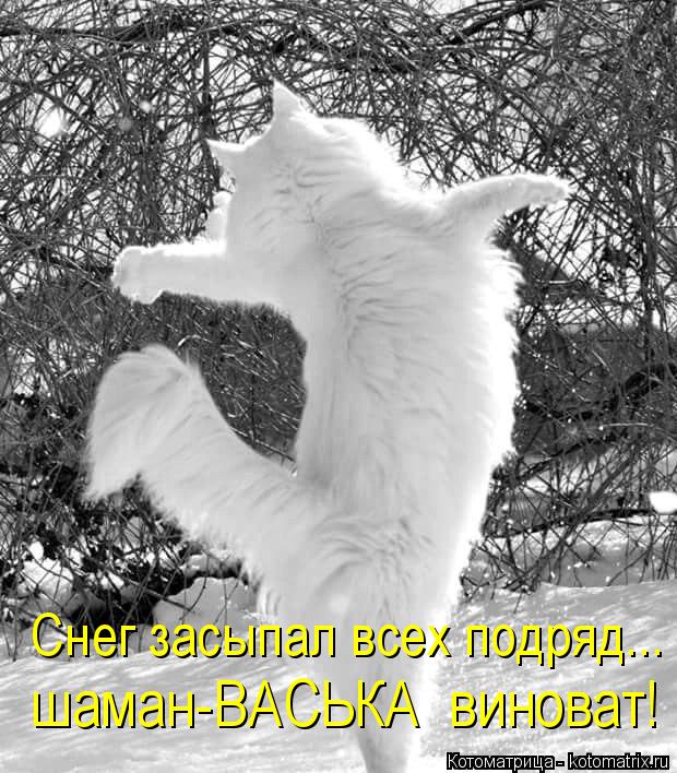 Снег засыпал всех подряд... шаман-ВАСЬКА виноват!... Котоматрица: Снег засыпал всех подряд... шаман-ВАСЬКА виноват!