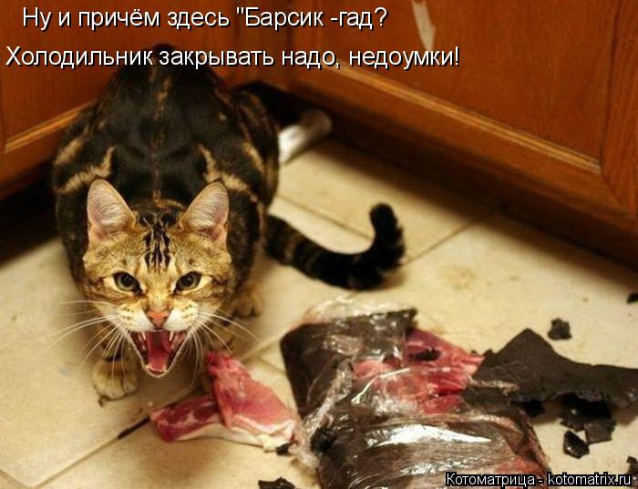 Котоматрица: Холодильник закрывать надо, недоумки! Ну и причём здесь "Барсик -гад?