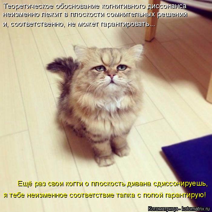 Котоматрица: Теоретическое обоснование когнитивного диссонанса неизменно лежит в плоскости сомнительных решений и, соответственно, не может гарантир?
