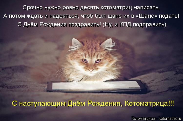Котоматрица: Срочно нужно ровно десять котоматриц написать, А потом ждать и надеяться, чтоб был шанс их в «Шанс» подать! С Днём Рождения поздравить! (Ну, и