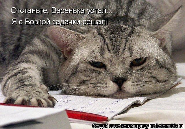 Котоматрица: Отстаньте, Васенька устал... Я с Вовкой задачки решал!