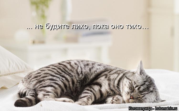 Котоматрица: ... не будите лихо, пока оно тихо…