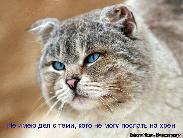 Котоматрица: Не имею дел с теми, кого не могу послать на хрен