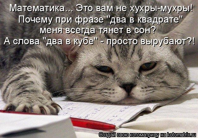 Котоматрица: Математика... Это вам не хухры-мухры! Почему при фразе "два в квадрате" меня всегда тянет в сон? А слова "два в кубе" - просто вырубают?!