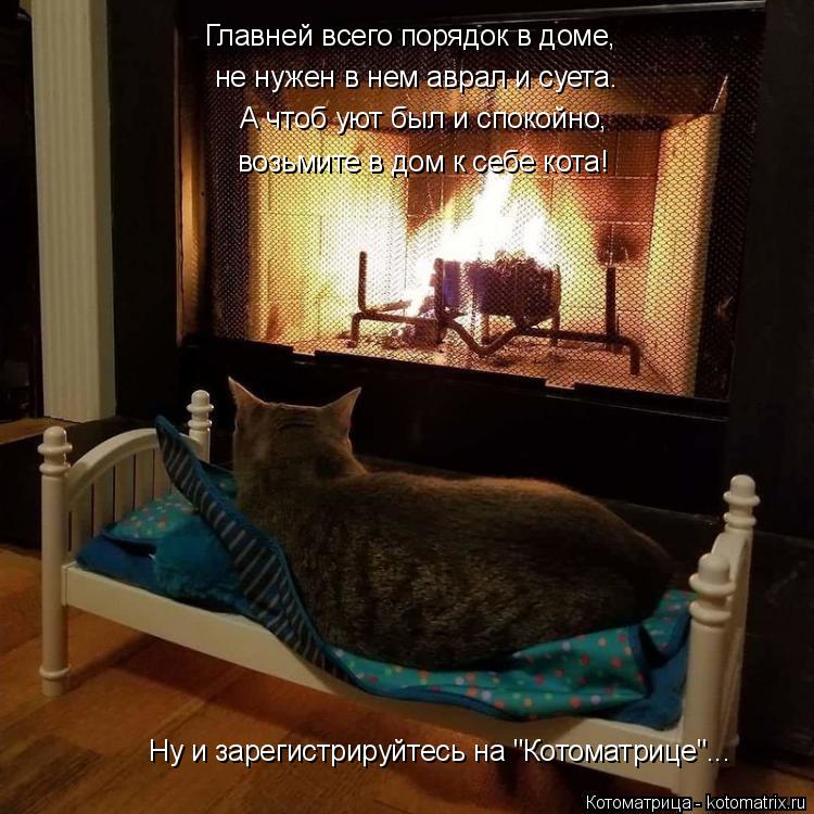 Котоматрица: возьмите в дом к себе кота! А чтоб уют был и спокойно, не нужен в нем аврал и суета. Главней всего порядок в доме, Ну и зарегистрируйтесь на "Ко