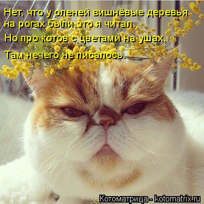 Котоматрица: Нет, что у оленей вишнёвые деревья на рогах были,это я читал. Но про котов с цветами на ушах, Там нечего не писалось.