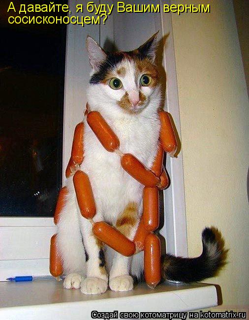 Котоматрица: А давайте, я буду Вашим верным сосисконосцем?