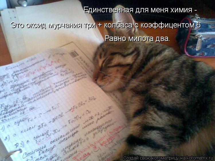 Котоматрица: Единственная для меня химия - Это оксид мурчания три + колбаса с коэффицентом 6 Равно милота два.