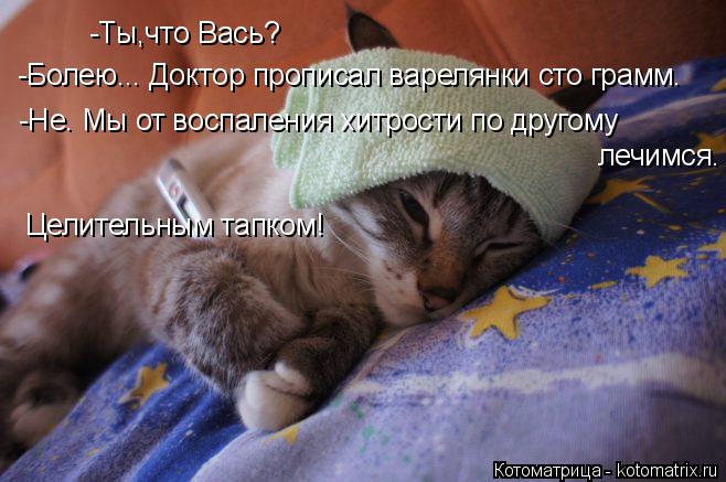 Котоматрица: -Ты,что Вась? -Болею... Доктор прописал варелянки сто грамм. -Не. Мы от воспаления хитрости по другому лечимся. Целительным тапком!