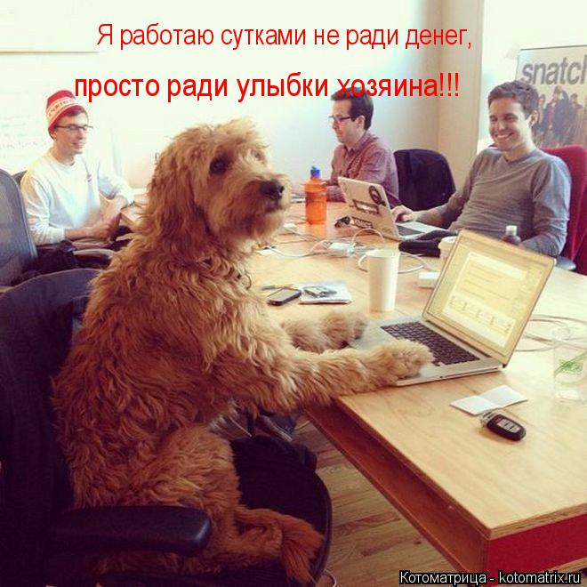 Котоматрица: Я работаю сутками не ради денег, просто ради улыбки хозяина!!!