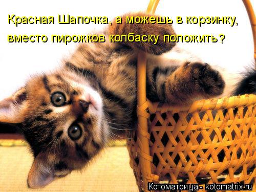 Котоматрица: Красная Шапочка, а можешь в корзинку,  вместо пирожков колбаску положить ?