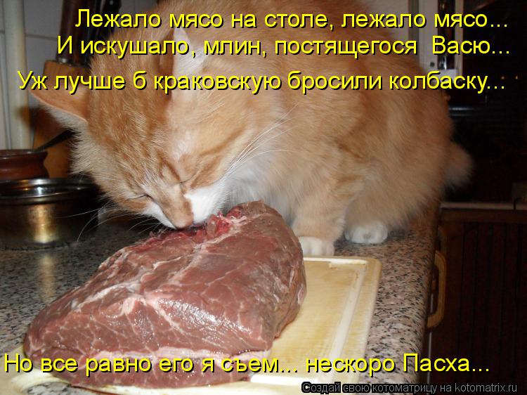 Котоматрица: Лежало мясо на столе, лежало мясо... Уж лучше б краковскую бросили колбаску... Но все равно его я съем... нескоро Пасха... И искушало, млин, постя?