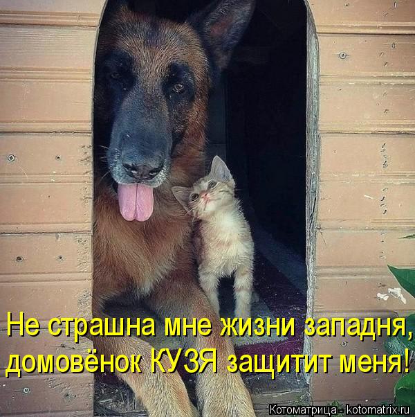 Не страшна мне жизни западня, домовёнок КУЗЯ защитит меня!... Котоматрица: Не страшна мне жизни западня, домовёнок КУЗЯ защитит меня!