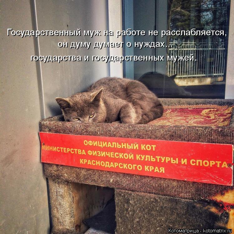 Котоматрица: Государственный муж на работе не расслабляется, он думу думает о нуждах...  государства и государственных мужей.