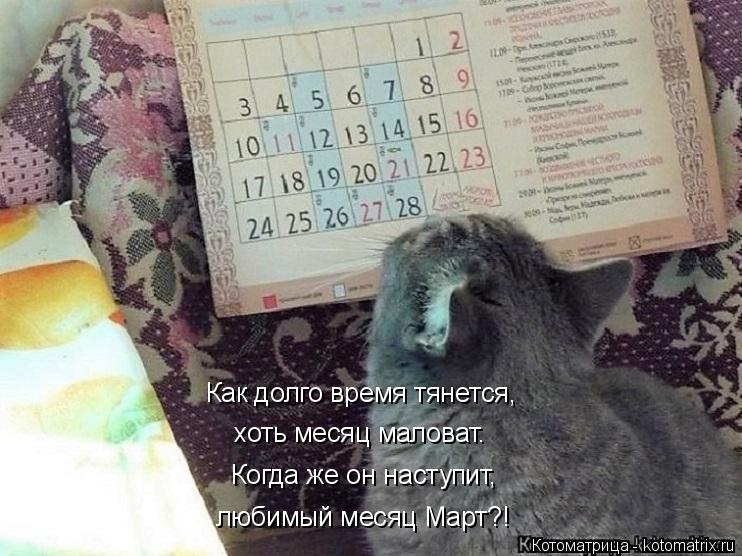 Котоматрица: Когда же он наступит, любимый месяц Март?! Как долго время тянется, хоть месяц маловат.