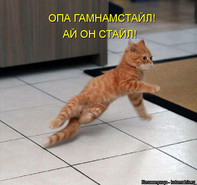 Котоматрица: ОПА ГАМНАМСТАЙЛ! АЙ ОН СТАЙЛ!