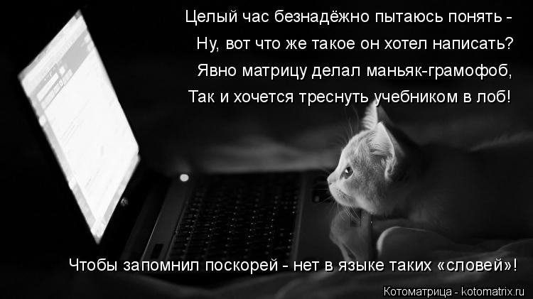 Котоматрица: Целый час безнадёжно пытаюсь понять -  Ну, вот что же такое он хотел написать? Явно матрицу делал маньяк-грамофоб, Так и хочется треснуть уче?