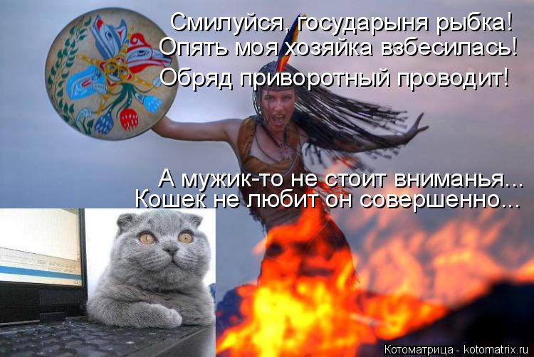 Котоматрица: Смилуйся, государыня рыбка! Опять моя хозяйка взбесилась! Обряд приворотный проводит!  А мужик-то не стоит вниманья... Кошек не любит он сове?