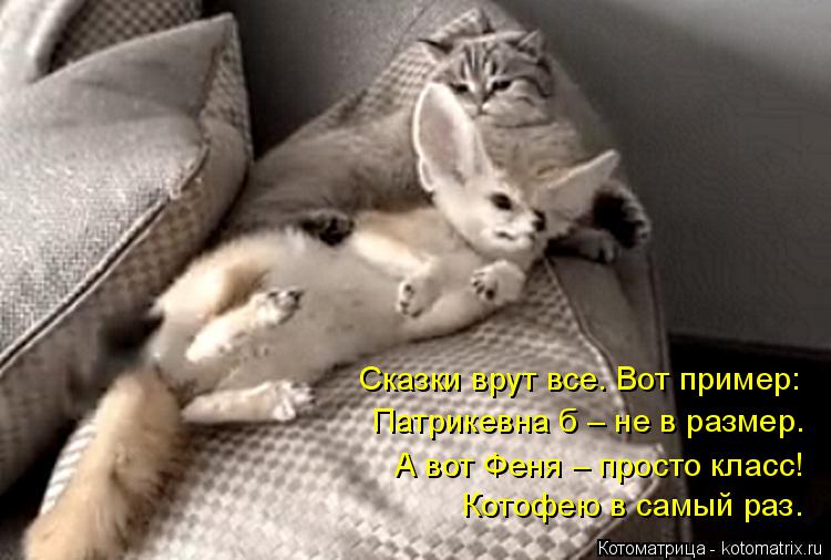 Котоматрица: Сказки врут все. Вот пример: Патрикевна б – не в размер. А вот Феня – просто класс! Котофею в самый раз.