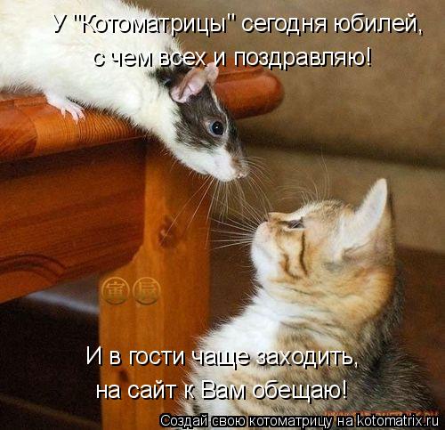 Котоматрица: на сайт к Вам обещаю! И в гости чаще заходить, У "Котоматрицы" сегодня юбилей, с чем всех и поздравляю!