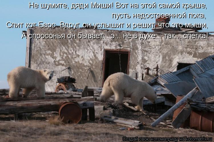 Котоматрица: Не шумите, дяди Миши! Вот на этой самой крыше, пусть недостроенной пока, Спит кот Барс. Вдруг, он услышит и решит, что это мыши, А спросонья он ?