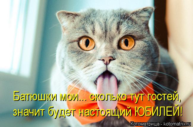 Батюшки мои... сколько тут гостей, значит будет настоящий ЮБИЛЕЙ!... Котоматрица: Батюшки мои... сколько тут гостей, значит будет настоящий ЮБИЛЕЙ!