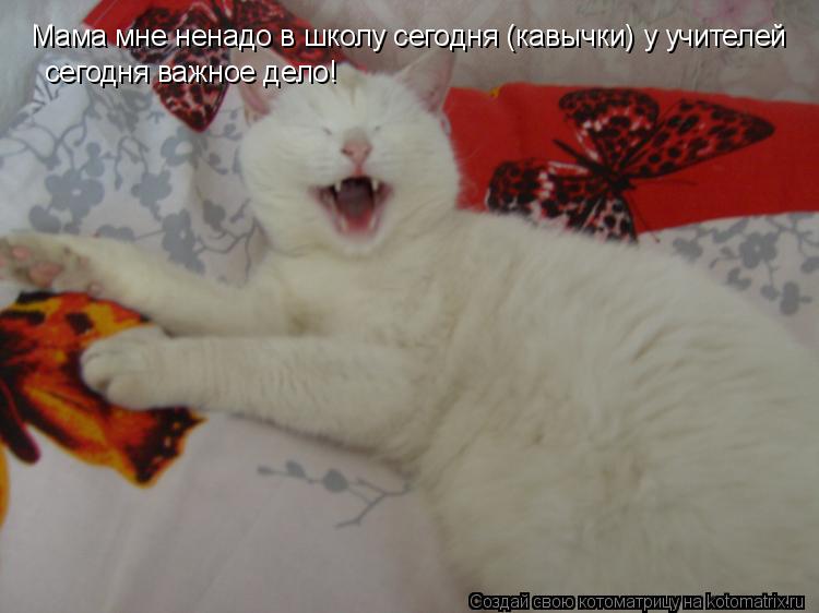 Котоматрица: Мама мне ненадо в школу сегодня (кавычки) у учителей сегодня важное дело!