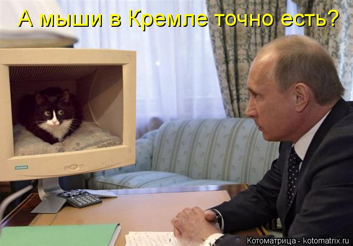 Котоматрица: А мыши в Кремле точно есть?