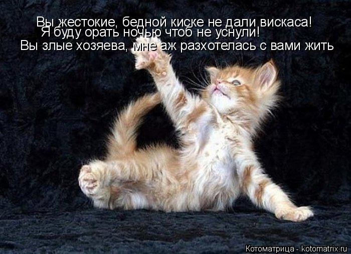Вы жестокие, бедной киске не дали вискаса! Я буду орать ночью чтоб не уснули! Вы злые хозяева, мне аж... Котоматрица: Вы жестокие, бедной киске не дали вискаса! Я буду орать ночью чтоб не уснули! Вы злые хозяева, мне аж разхотелась с вами жить