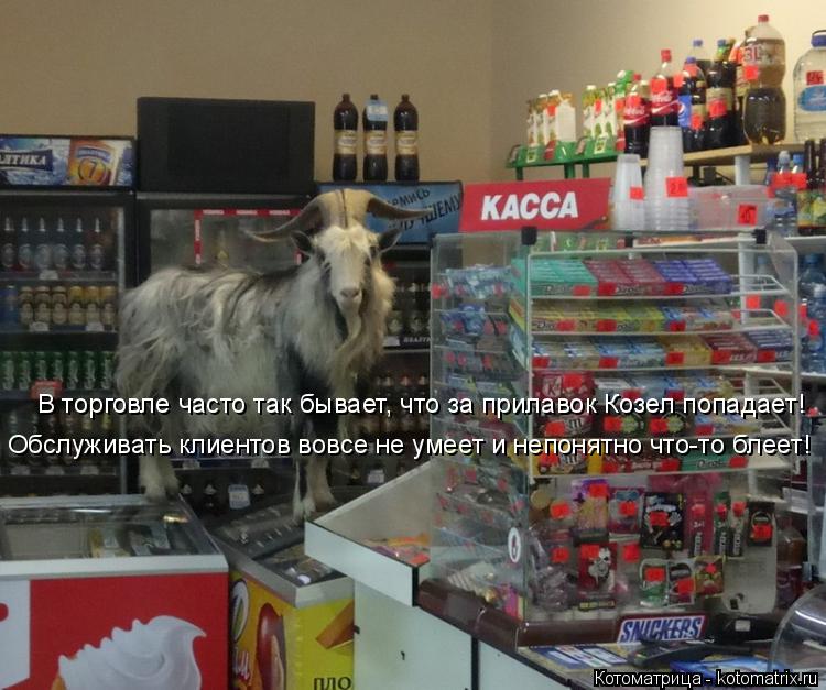 Котоматрица: В торговле часто так бывает, что за прилавок Козел попадает! Обслуживать клиентов вовсе не умеет и непонятно что-то блеет!