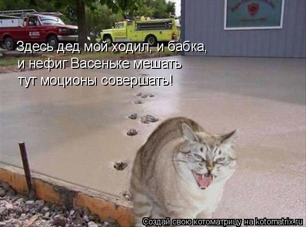 Котоматрица: Здесь дед мой ходил, и бабка,  и нефиг Васеньке мешать тут моционы совершать!