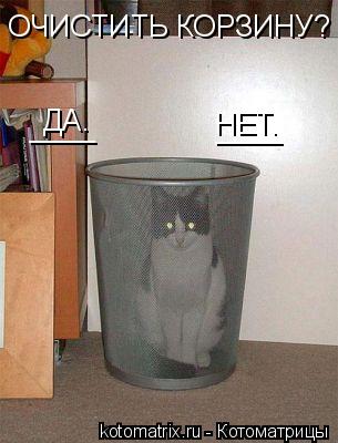 Котоматрица: ОЧИСТИТЬ КОРЗИНУ? ДА. НЕТ. ____ ____