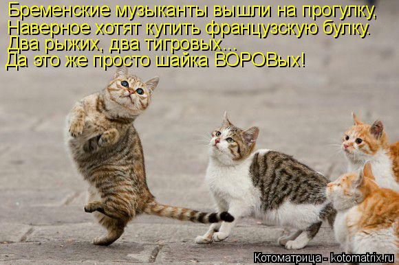 Котоматрица: Бременские музыканты вышли на прогулку, Наверное хотят купить французскую булку. Два рыжих, два тигровых... Да это же просто шайка ВОРОВых!