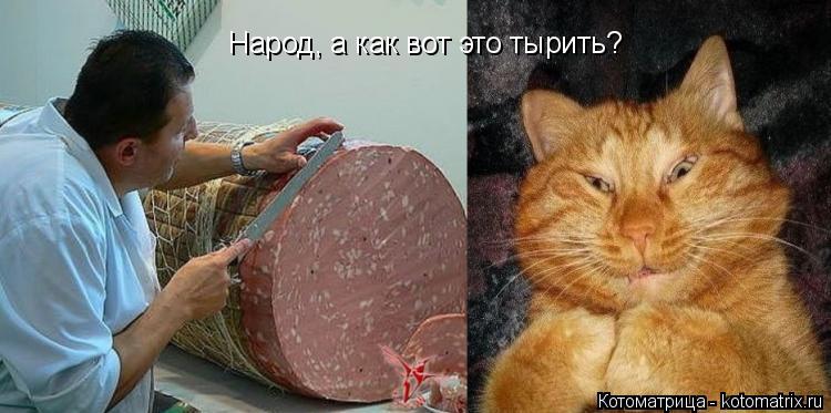 Котоматрица: Народ, а как вот это тырить?