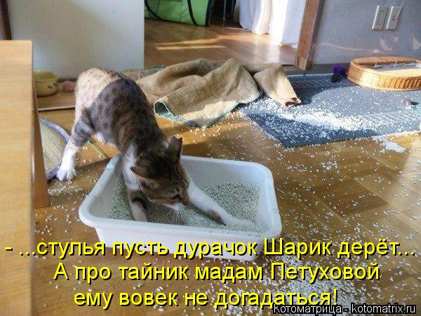 Котоматрица: - ...стулья пусть дурачок Шарик дерёт... А про тайник мадам Петуховой ему вовек не догадаться!