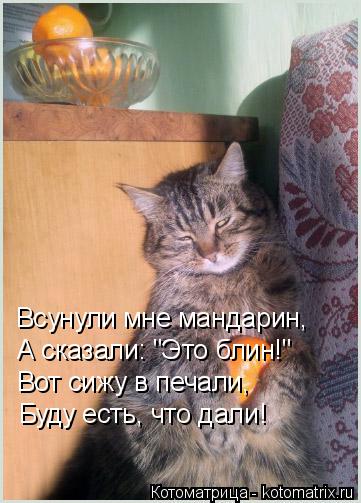 Котоматрица: Всунули мне мандарин, Всунули мне мандарин, А сказали: "Это блин!" Вот сижу в печали, Буду есть, что дали!