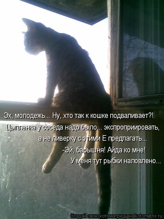 Котоматрица: Эх, молодежь... Ну, хто так к кошке подваливает?! Цыпленка у соседа надо было... экспроприировать, а не ливерку с этими Е предлагать... -Эй, барыш?