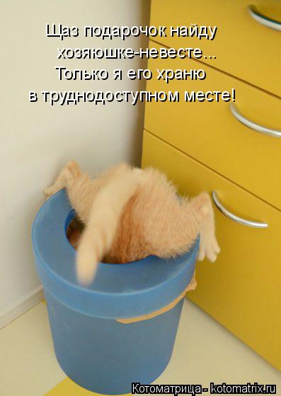 Котоматрица: Щаз подарочок найду  хозяюшке-невесте... Только я его храню в труднодоступном месте!