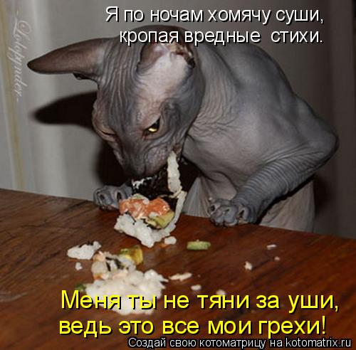 Котоматрица: Я по ночам хомячу суши,  кропая вредные  стихи.  Меня ты не тяни за уши,  ведь это все мои грехи!
