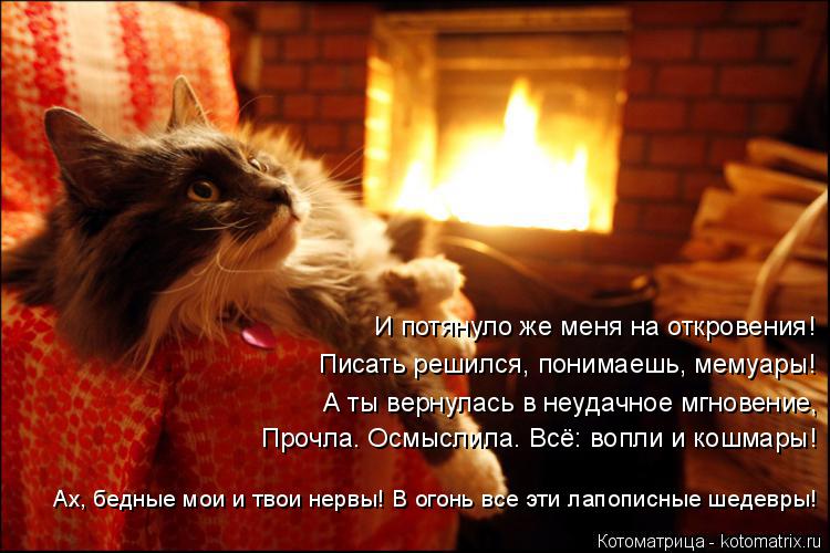 Котоматрица: И потянуло же меня на откровения! Писать решился, понимаешь, мемуары! А ты вернулась в неудачное мгновение, Прочла. Осмыслила. Всё: вопли и ко