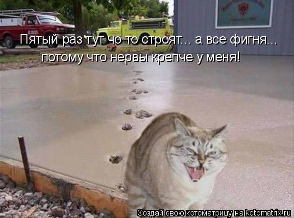 Котоматрица: Пятый раз тут чо то строят... а все фигня... потому что нервы крепче у меня!
